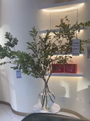 点击看大图 -王妃SPA·美容·科技抗衰