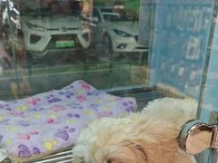 -FAELING PETS美天灵宠物(合生汇店)
