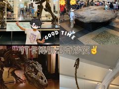 -美国自然历史博物馆