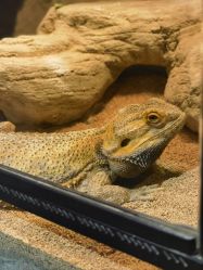 -酷嗒动物文化乐园(cutezoo西溪乐天城店)