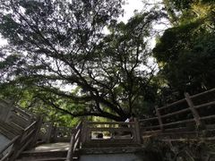 -广州市石门国家森林公园