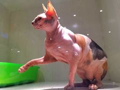 -乐宠宠物店(世纪金源店)