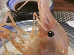牡丹蝦頭-矶野水产(澳门逸园中心店)