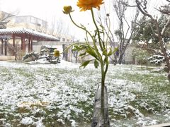 -九献创意菜·牛排馆(亮马河花园店)