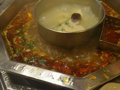 -蜀香居鲜毛肚火锅