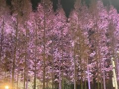 -青岛五四广场海景美仑国际公寓酒店