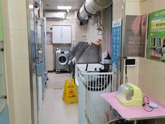 -北京观赏动物医院·24小时大型综合·猫专科·异宠专科