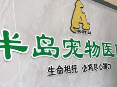-半岛宠物医院24小时(科华中路店)