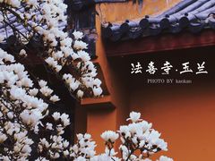 -杭州上天竺法喜讲寺