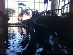 iphone_upload_pic-月亮河温泉度假酒店