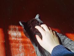 -春风十里咖啡馆