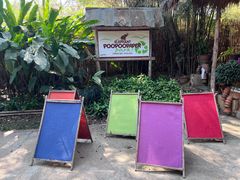 -大象粑粑造纸公园