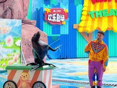 -海合安成都极地海洋公园