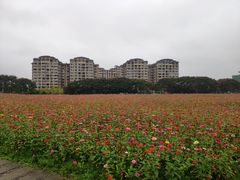 -北川巴拿恰