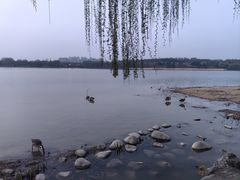 -北京麋鹿生态实验中心