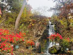 -红螺寺
