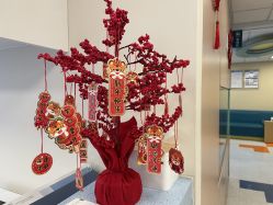 -杭州贝瑞斯美华妇儿医院·早孕·产检·儿科