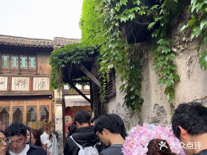 舌尖葱包烩图片