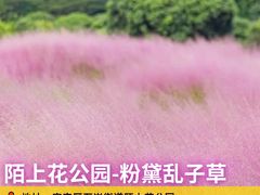 -光明小镇欢乐田园