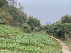 -白鹭湾湿地公园