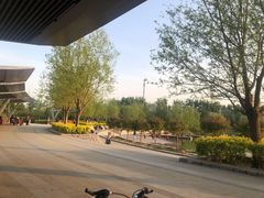 -马家湾湿地公园