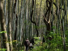 -青龙山国家森林公园