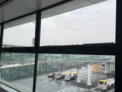-郑州新郑国际机场-T2航站楼