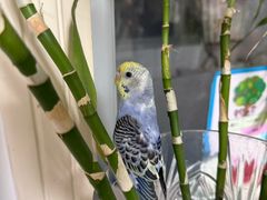 -聚宝源(牛街创始店)