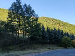 -塞罕坝国家级自然保护区