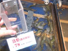 -永红源啤酒·烧烤·海鲜·大排档(青特城店)