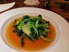 -圆苑(金茂店)