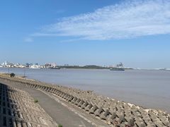 -上海滨江森林公园
