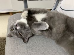 -Pink You美甲美睫纹绣定制中心