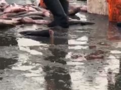 -卧龙湖