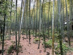 -众神白水涧景区