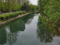 -长白岛森林公园