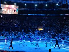 -俄罗斯国家大马戏团