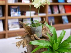 -二酉书店TOYOU BOOKS