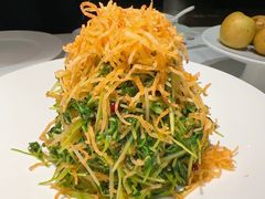 巧拌豆苗-四季民福烤鸭店(王府井东安门店)