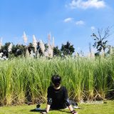 【成都玩乐】芦苇地疯狂自拍的滑板少女