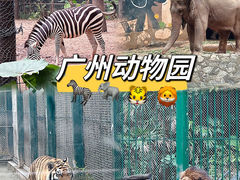 -广州动物园