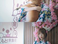 -柴源莊·柴小宠柴犬咖啡