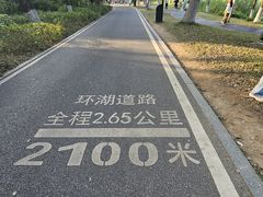 -海珠湖公园