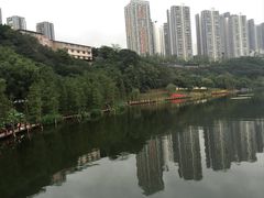 -重庆彩云湖湿地公园