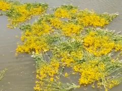 -万达广场(南京江宁店)