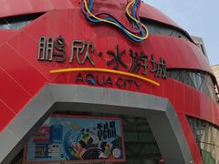 -鹏欣水游城