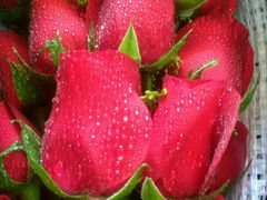 android_upload_pic-壹号鲜花店(苍南灵溪河滨东路店)