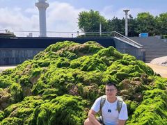 -日照灯塔风景区