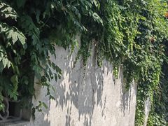 -百年老字号·观振兴蟹黄面·三虾面·苏式面(观前街富仁坊巷店)