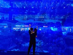 -成都浩海立方海洋公园